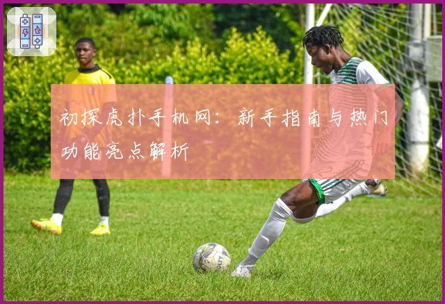 初探虎扑手机网：新手指南与热门功能亮点解析