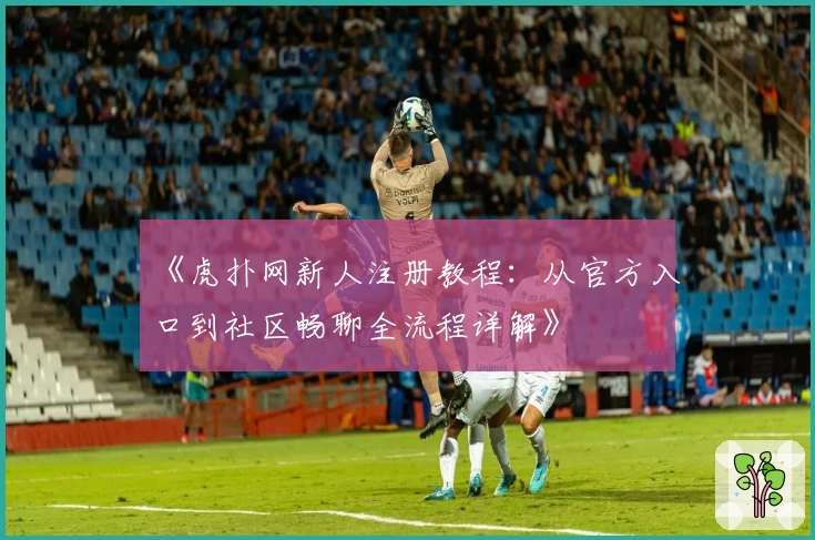 《虎扑网新人注册教程：从官方入口到社区畅聊全流程详解》