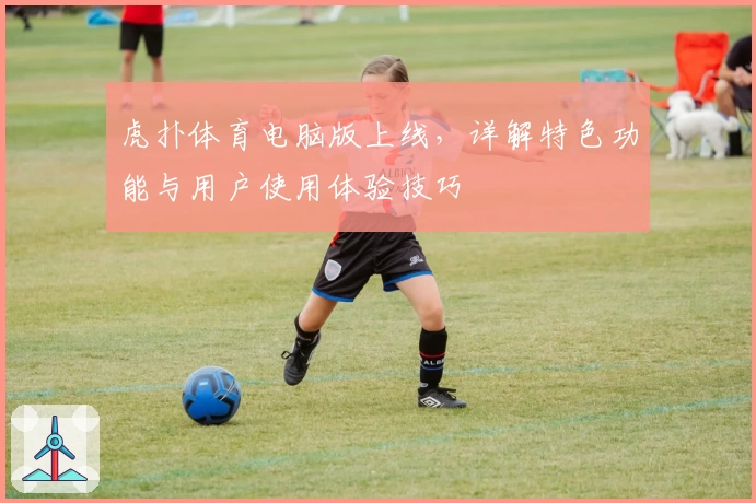 虎扑体育电脑版上线,详解特色功能与用户使用体验技巧