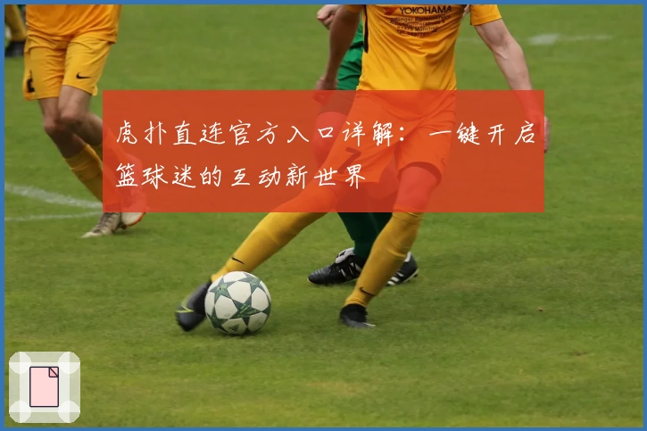 虎扑直连官方入口详解：一键开启篮球迷的互动新世界