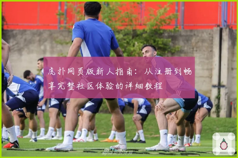 虎扑网页版新人指南：从注册到畅享完整社区体验的详细教程