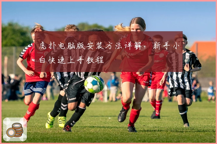 虎扑电脑版安装方法详解，新手小白快速上手教程