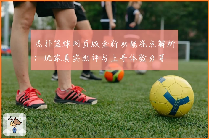 虎扑篮球网页版全新功能亮点解析：玩家真实测评与上手体验分享